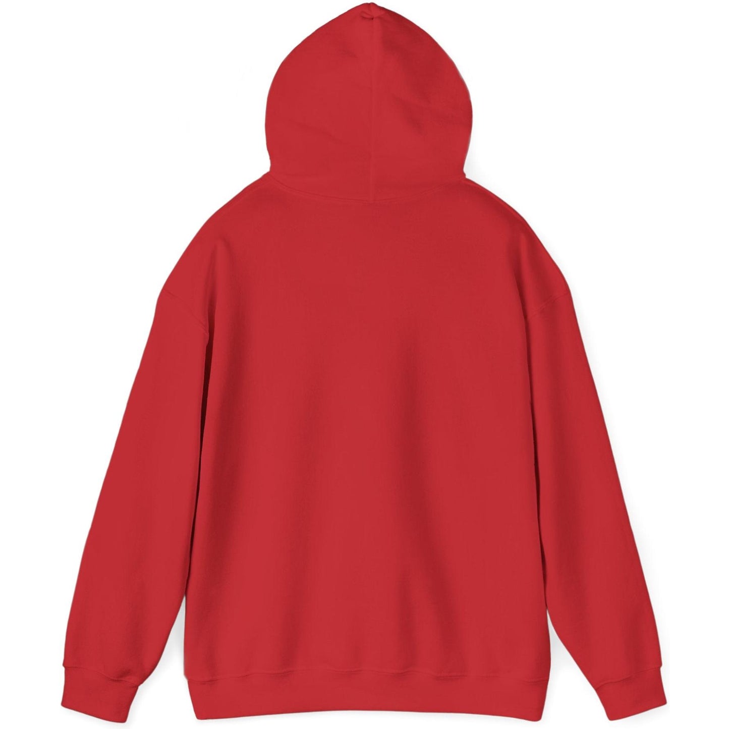 Airliner soaring on a bold retro sunset - aviation fan's hoodie