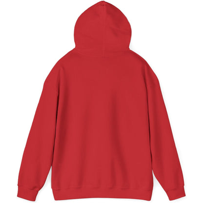 Airliner soaring on a bold retro sunset - aviation fan's hoodie