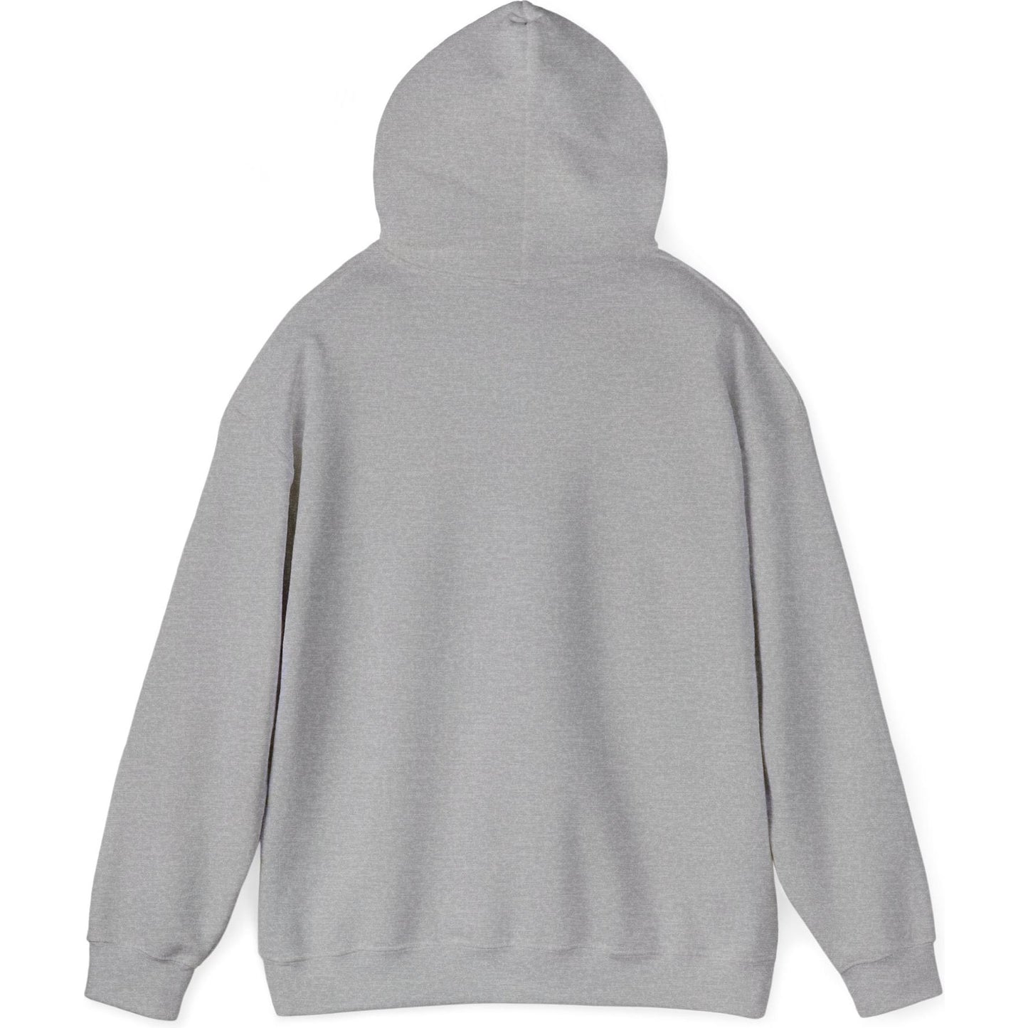 Airliner soaring on a bold retro sunset - aviation fan's hoodie