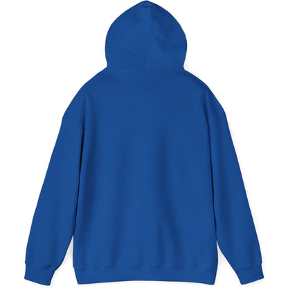 Airliner soaring on a bold retro sunset - aviation fan's hoodie