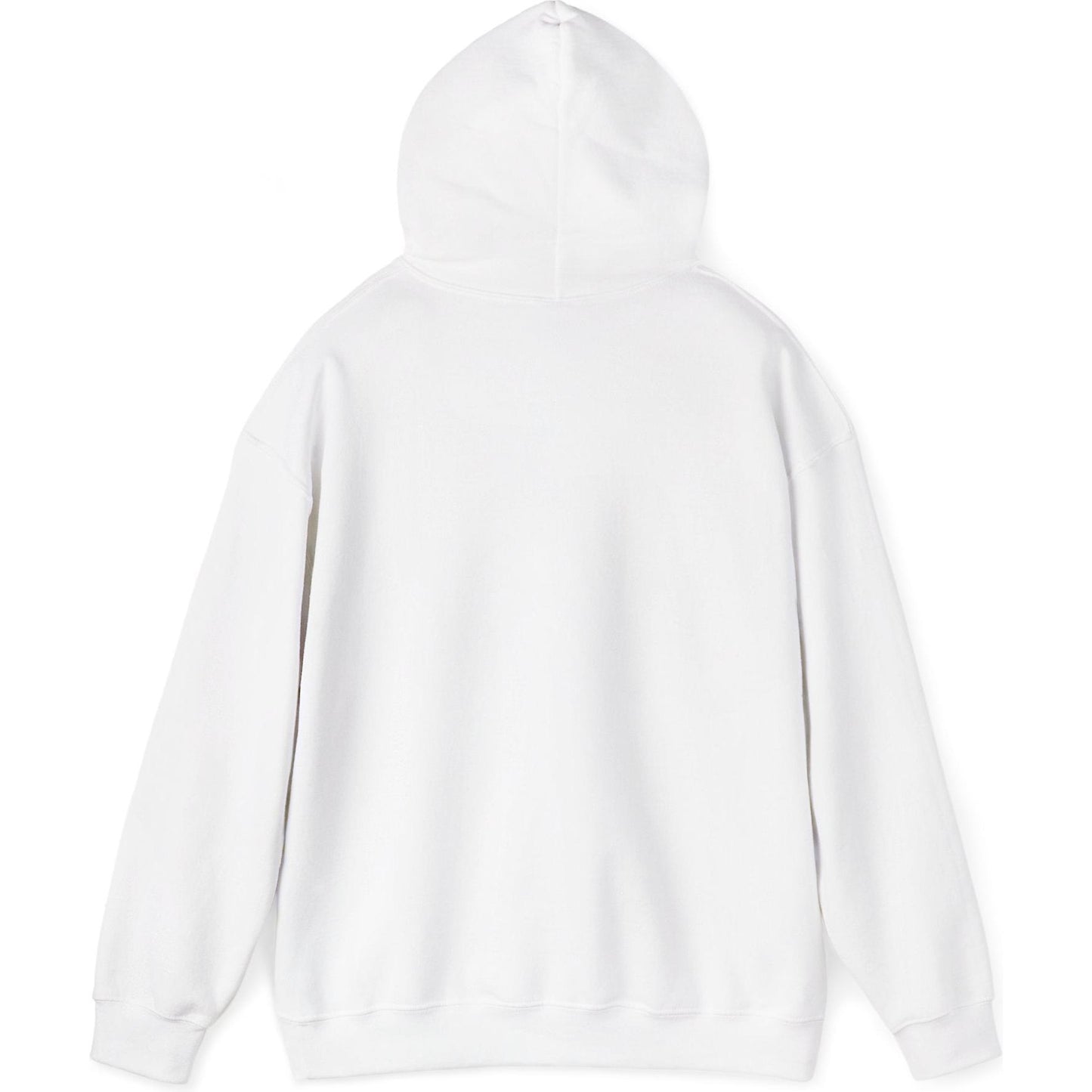 Airliner soaring on a bold retro sunset - aviation fan's hoodie