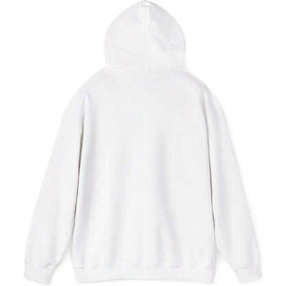 Airliner soaring on a bold retro sunset - aviation fan's hoodie