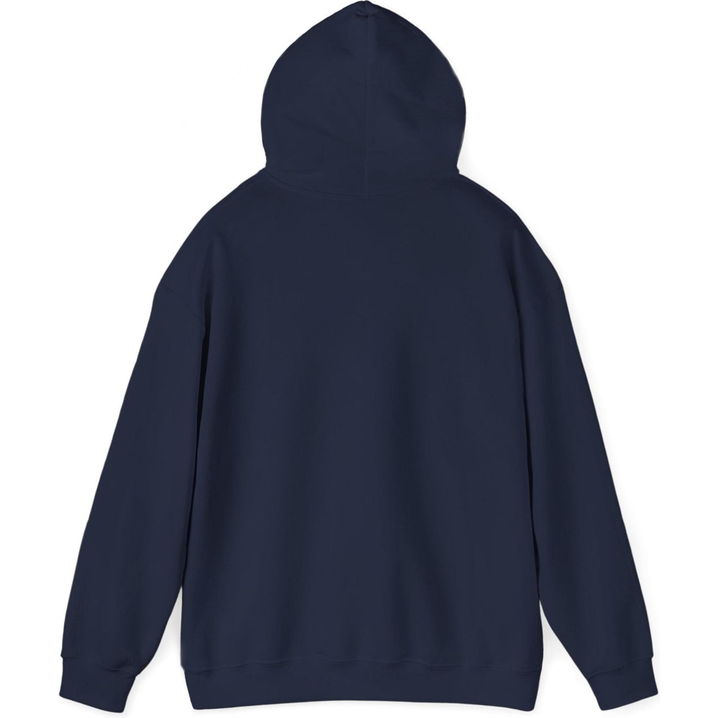 Airliner soaring on a bold retro sunset - aviation fan's hoodie