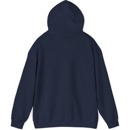 Airliner soaring on a bold retro sunset - aviation fan's hoodie