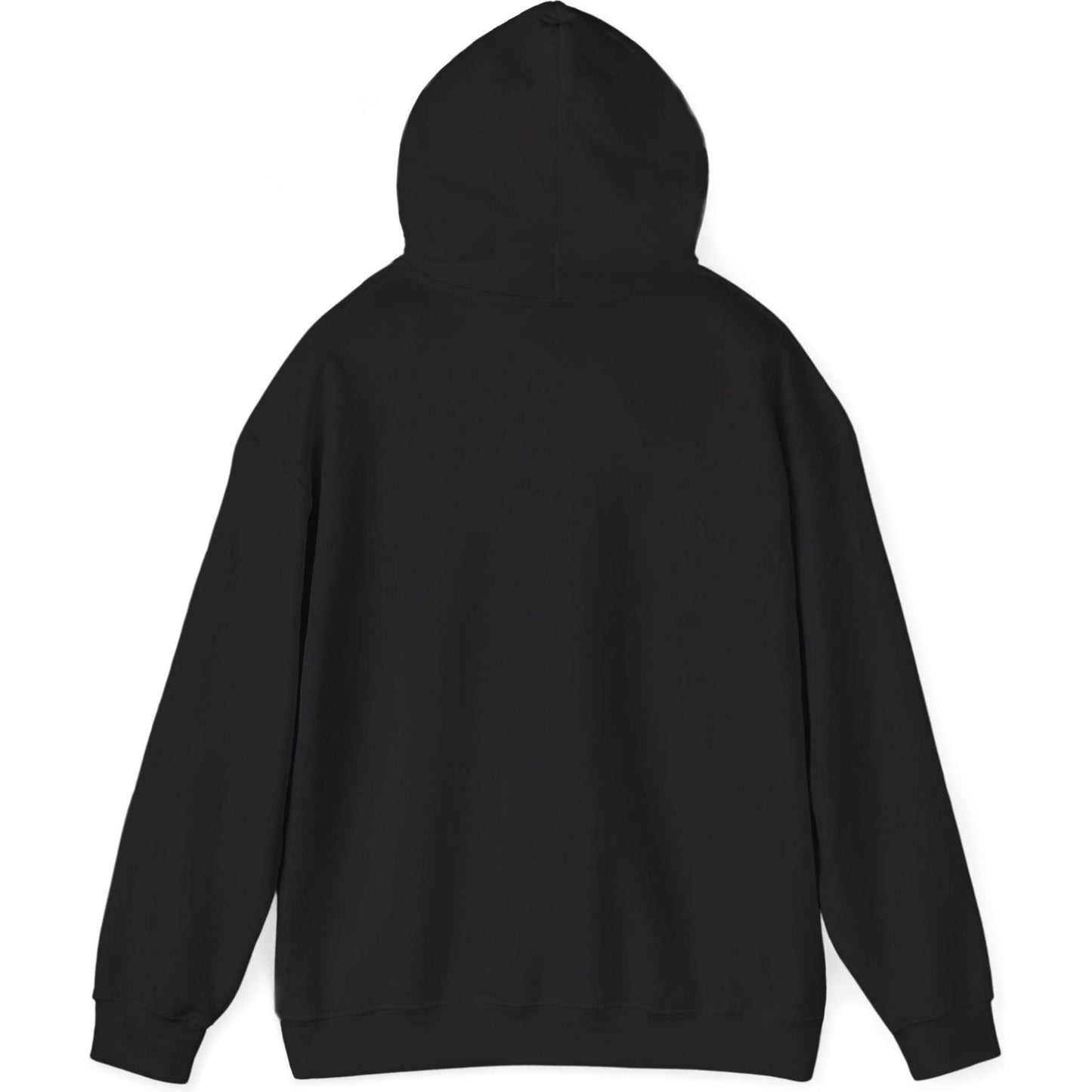 Airliner soaring on a bold retro sunset - aviation fan's hoodie