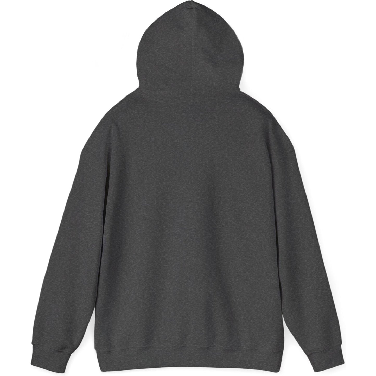 Airliner soaring on a bold retro sunset - aviation fan's hoodie