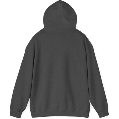 Airliner soaring on a bold retro sunset - aviation fan's hoodie